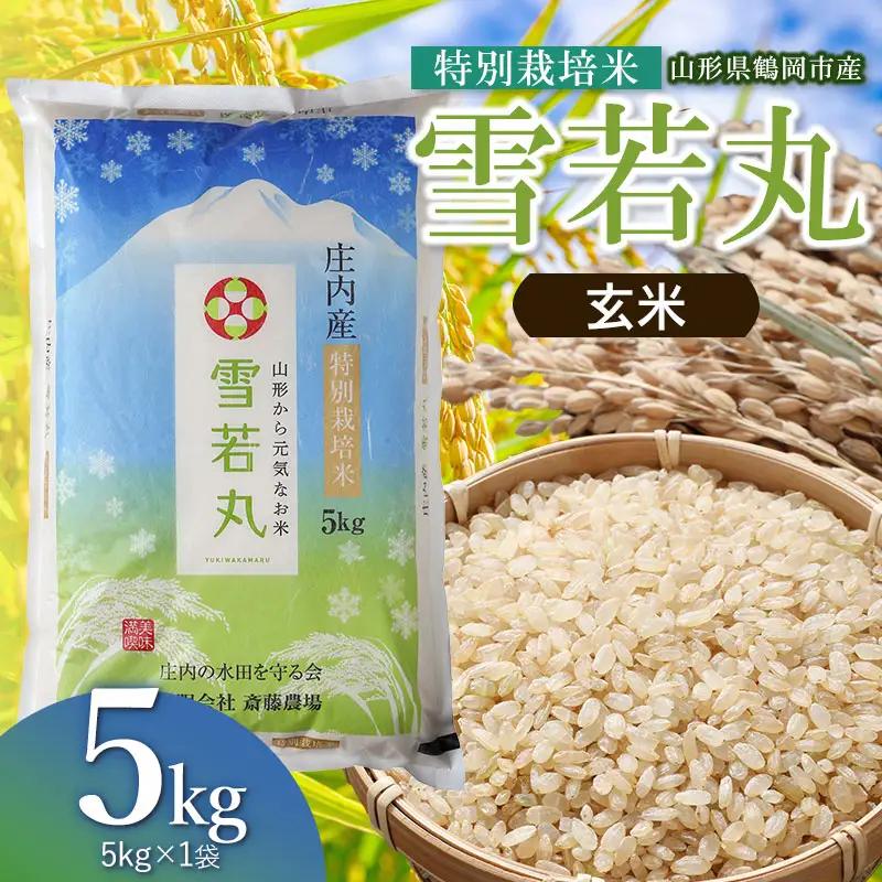 【令和8年産 新米】 特別栽培米 雪若丸 玄米 5kg(5kg×1袋) 山形県鶴岡市 K-837 斎藤農場