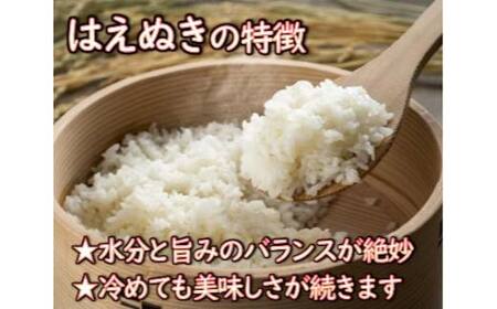 はえぬき 精米 10kg（5kg×2袋） 【令和6年産】 2024年12月発送 山形県産 米 コメ こめ F3S-2252