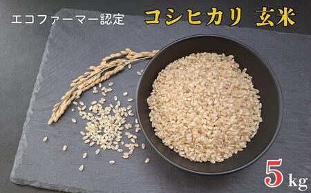 令和7年産 新米　【エコファーマー認定】 コシヒカリ 玄米 5kg ／ 米 こめ コメ ごはん ご飯 お米 おこめ 玄米 新米 エコファーマー認定 5kg 令和7年 千葉県 東庄町 産地直送