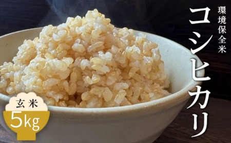 令和7年産 環境保全米 コシヒカリ玄米5kg ※北海道・沖縄・離島への配送不可