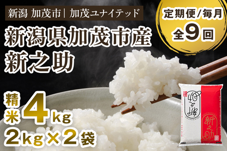 【令和7年産・令和8年産新米先行予約可】【定期便9ヶ月毎月お届け】新潟県産 新之助 精米4kg（2kg×2袋） 《令和7年産：順次出荷・令和8年産新米：2026年10月から出荷》