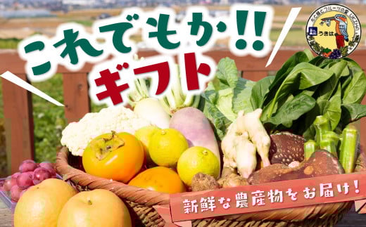 
            道の駅うきは これでもか!!ギフト (新鮮な農産物・特産品 約4.5kg)
          