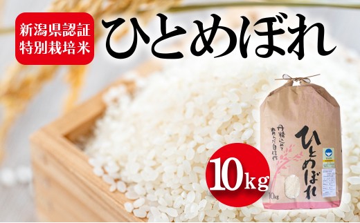 
                  新潟県認証特別栽培米 ひとめぼれ10kg お米 白米 ライス 精米 ご飯 新潟県産 おにぎり お弁当 和食 ブランド米 粘り 甘み 旨み 
                
