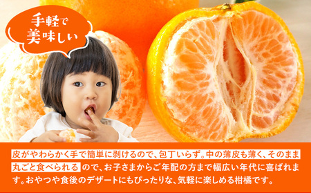 訳あり ポンカン 5kg 20-25玉 サイズ混合《2月中旬-3月中旬出荷予定(土日祝除く)》熊本県 葦北郡 津奈木町 ポンカン みかん 柑橘 送料無料