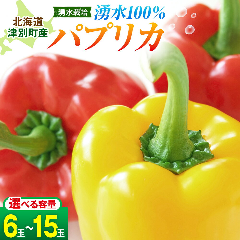 【ふるさと納税】【令和8年産】湧水栽培 ナツやさいのパプリカ 6玉〜15玉セット ピンクの八百屋〜ナツやさい〜 | パプリカ 赤 黄 肉厚 サラダ 炒め物 スープ 肉詰め 煮浸し パエリア 旬 産地直送 北海道 津別町 送料無料