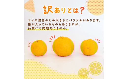 【早期予約 2026年2月上旬より順次発送】 【有機JAS認定】有機ぽんかん L・2Lサイズ混合 5kg 5kg
