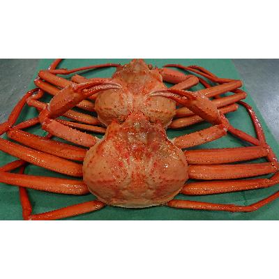 ふるさと納税 射水市 紅ズワイガニ 600g以上×2