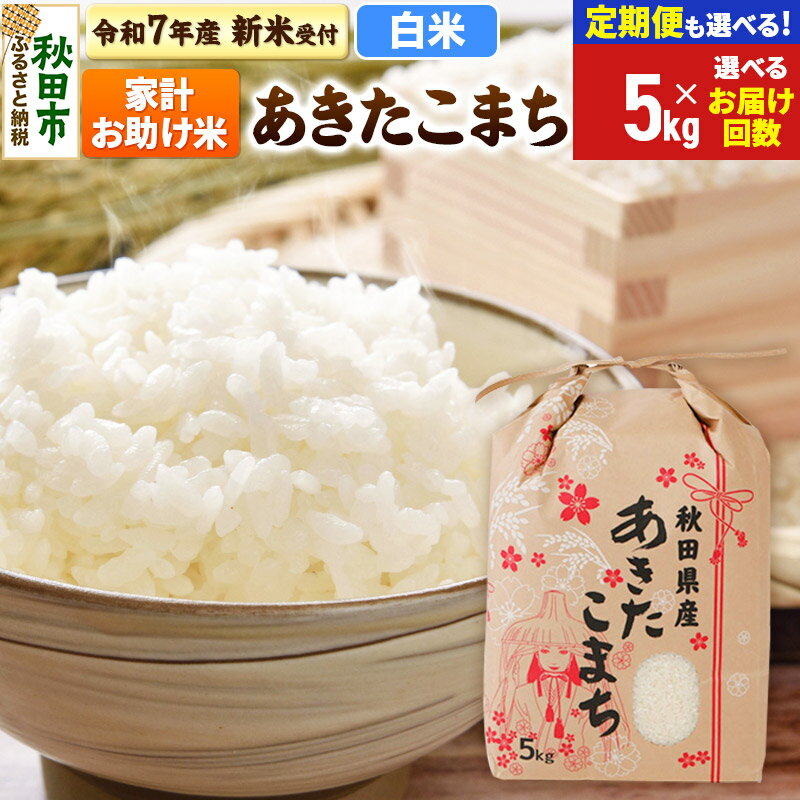 【ふるさと納税】《令和7年産 新米受付》あきたこまち 家計お助け米 5kg【白米】【選べるお届け回数(定期便)】秋田県産 こまちライン お米 新米
