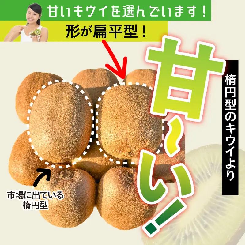 未追熟キウイフルーツ 扁平型 36玉(約3.7kg)_2753R
