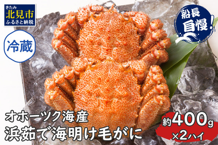 【予約：2026年3月下旬から順次発送】【旬の浜ゆで毛ガニを冷蔵便で】オホーツク海産 浜茹で海明け毛がに 約400g×2ハイ 冷蔵 ( かに 蟹 魚介類 海鮮 )【114-0029-2026】