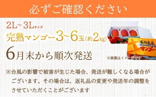 【2026年6月末から順次発送】2L～3L マンゴー3～6玉（約2kg） 【 産地直送 旬 フルーツ 新鮮 完熟 マンゴー 石垣 沖縄 】KP-25