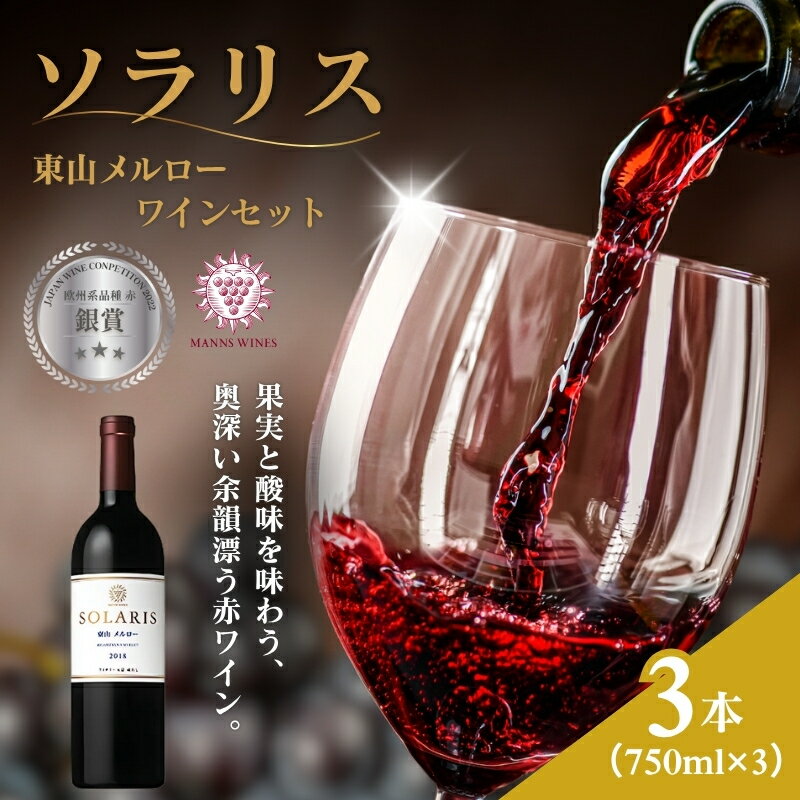 【ふるさと納税】ソラリス 東山メルロー ワインセット 750ml×3本 赤ワイン お酒 ぶどう酒 晩酌 おうちディナー 飲み物 家飲み 宅飲み 果実香 複雑 おだやかな酸味 タンニン