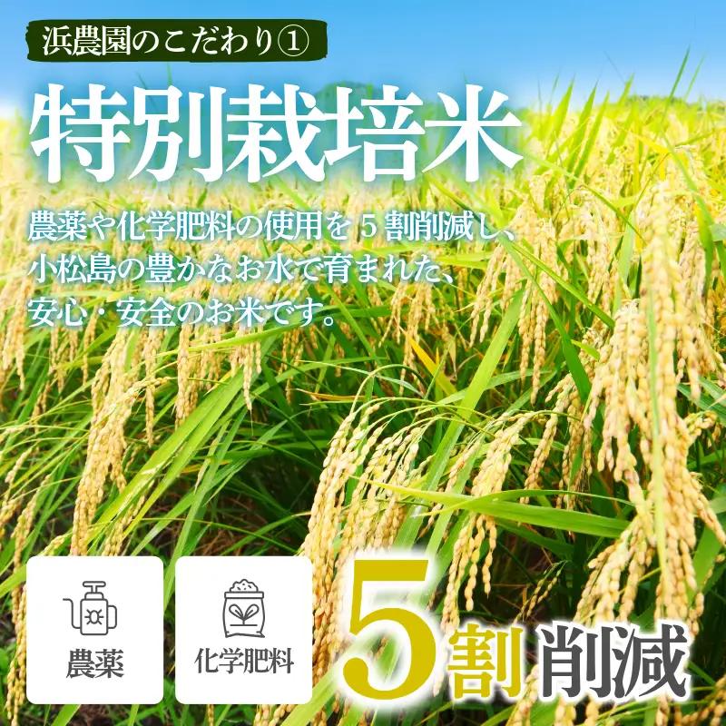 【2026年9月順次発送】新米 特別栽培米 にじのきらめき 白米 5kg 小松島市 お米 こめ kome 精米 ご飯 ごはん 減農薬 米  小分け