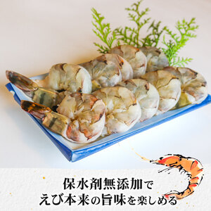 まるは食堂 『訳あり』特大むきえび500ｇ ※背ワタ処理済み エビエビエビエビエビ