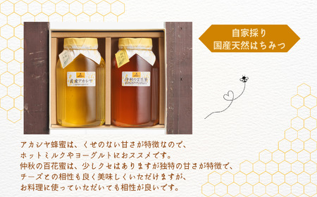 自家採り国産天然はちみつ 2本セット(1000g×2)【渡辺養蜂場】