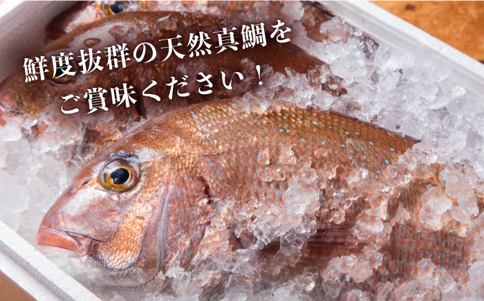 鯛茶漬け 天然鯛 6人前 ギフト セット 《壱岐市》【平山旅館壱岐もの屋】[JAI002] タイ お茶漬け プレゼント 贈り物 17000 17000円  のし ギフト