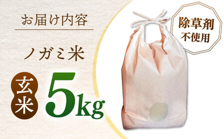 弥山岳の岩清水で育ったノガミファームのお米 玄米5kg 桂川町/NOGAMI FARM[ADAU009]