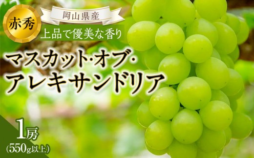 
                  ぶどう 2026年 岡山県産 マスカット・オブ・アレキサンドリア 1房  赤秀 550g以上
                