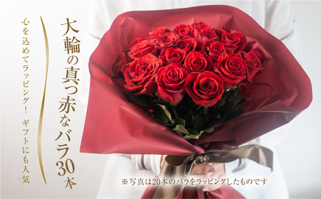 バラ 花束 大輪 赤 30本 (40cm) ブーケ 薔薇 ローズ 生花 観賞用 プレゼント 花 ギフト 誕生日 植物 フラワー 土壌栽培 産地直送 田原市 人気 切り花 切花 15000円