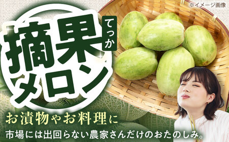 【7月下旬以降順次発送】　摘果メロン 1.8kg　《喜茂別町》【久保田農園】メロン 子メロン ベビーメロン 漬物 野菜 旬 果物 先行予約 フルーツ[AJAM012]