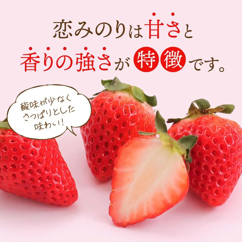 【2027年2月より順次発送】恋みのり・こころの色 220g×2パック（各1パック） / 佐賀県 / 鐘ヶ江農園 [41ASBK007]