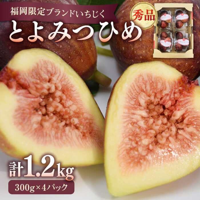 【ふるさと納税】 JAふくおか嘉穂 いちじく とよみつひめ 秀品 1.2kg イチジク 無花果 300g×4パック ▼ 国産 福岡限定 福岡 フルーツ 果物 いちぢく ギフト プレゼント 贈答 贈り物 桂川町/福岡嘉穂農業協同組合[ADAY001] 10000円 1万円