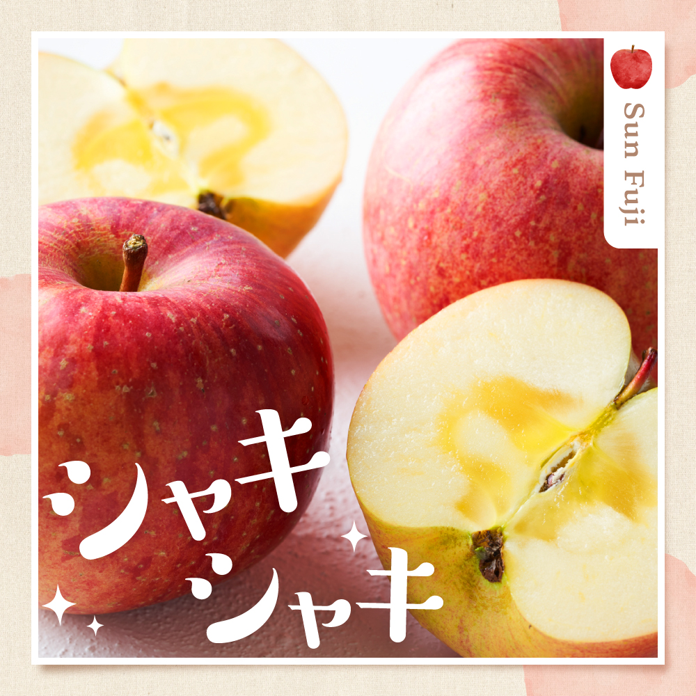 【2026年産】りんご サンふじ&シナノゴールド 詰め合わせ 5kg 秀品 化粧箱入り 山形県 東根市 東根農産センター提供 hi027-209-r8