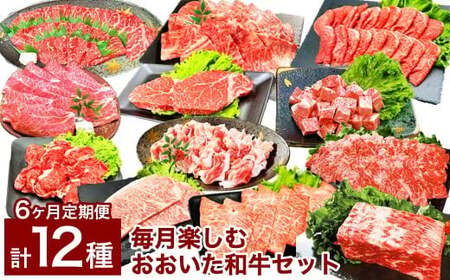 【6カ月定期便】 【毎月違う部位が届く！ 人気 食べ比べセット！】 6カ月毎月楽しむ おおいた和牛 セット 合計約5.35kg