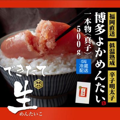 ふるさと納税 志免町 無冷凍 辛子明太子 博多よかめんたい 生 贈答用 500g 1本もの(志免町)