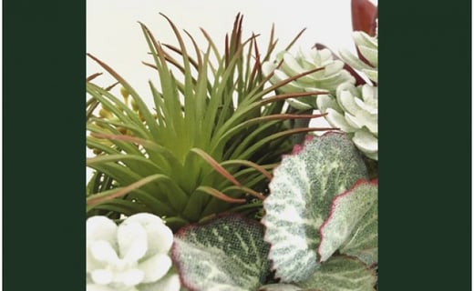 【ギフト用】美流渡の森 アーティフィシャルフラワー・アレンジメント 多肉植物 横長アレンジメント(ブラウン)【12057】