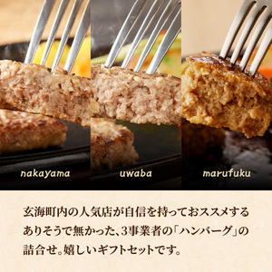 ハンバーグ3種詰合せ（ギフトセット）／ 佐賀牛 ハンバーグ 食べ比べ【B207】