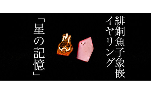 
                  【加賀象嵌】緋銅魚子象嵌イヤリング「星の記憶」  石川 金沢 加賀百万石 加賀 百万石 北陸 北陸復興 北陸支援
                