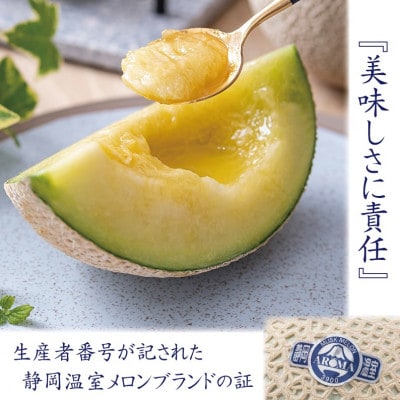 【毎月定期便】【高級メロンの訳あり品】アローマメロン1玉全11回【配送不可地域：離島・北海道・沖縄県】