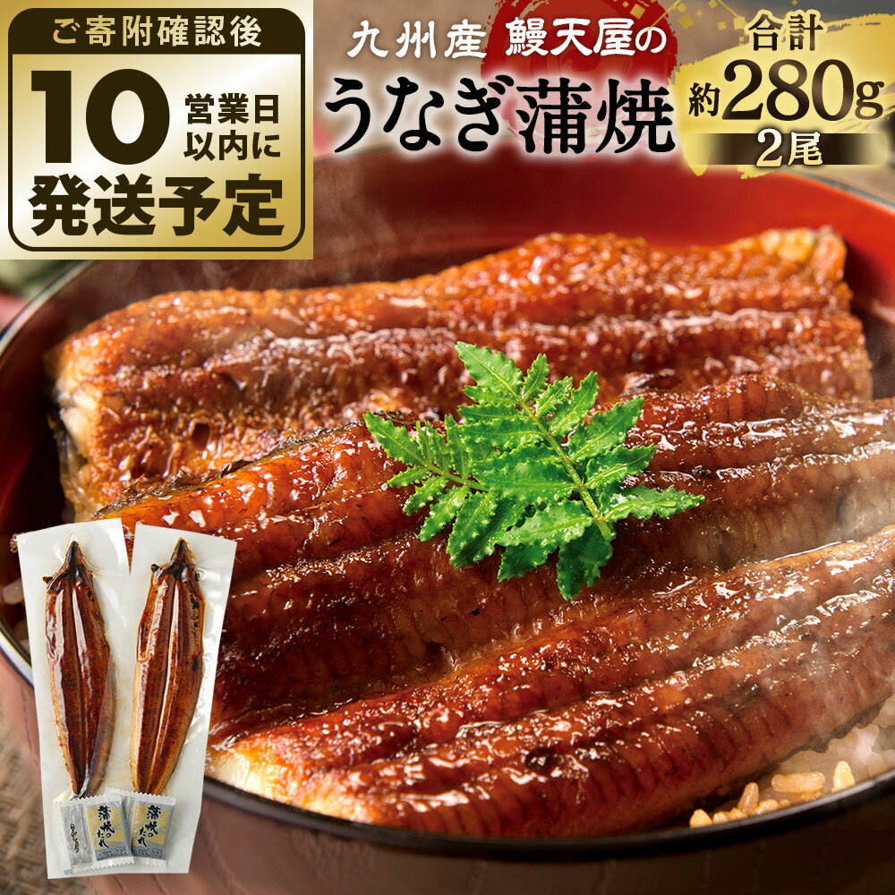 【ふるさと納税】鰻天屋の九州産 うなぎ 蒲焼 約140g×2尾 セット 合計約280g 特製たれ・山椒付き 鰻 蒲焼き 冷凍 国産 送料無料 鹿児島、宮崎、熊本等産うなぎ原料使用