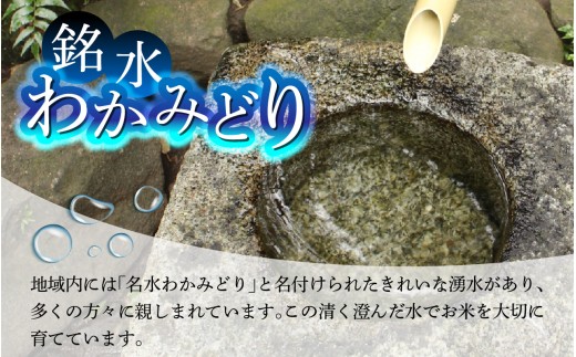 若緑産 4種 食べ比べセット 特別栽培米 （4種×2kg 計8kg）【2027年1月発送】