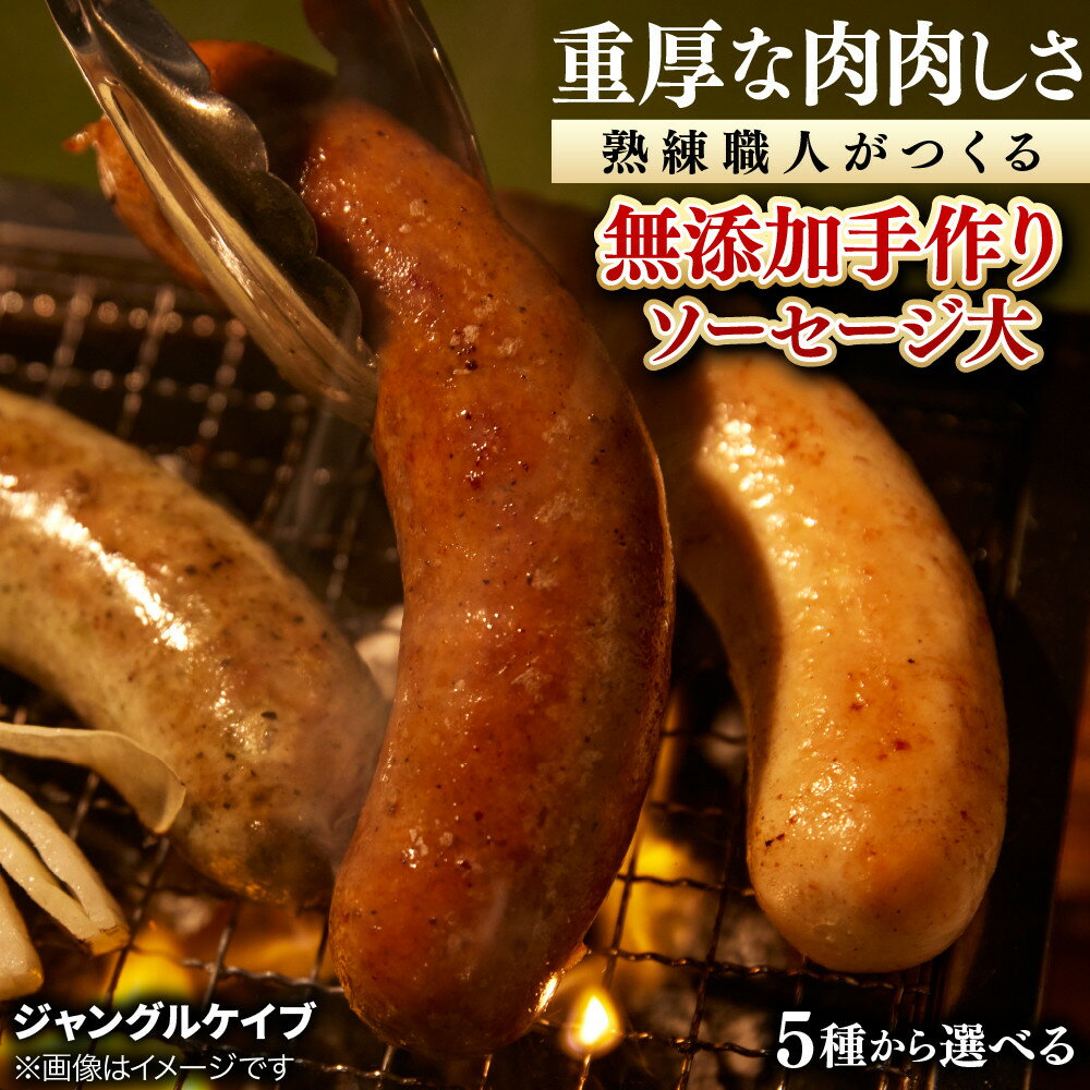 【ふるさと納税】【ジャングルケイブ】肉感たっぷり 手作り無添加ソーセージ(大)｜京都 ソーセージとお肉の店 5種から選べる 人気セット | ソーセージ職人の手作りソーセージ 食べ比べ 1本約100g 食べ応え 肉肉しい おいしい グルメ おすすめ 肉 豚肉 ウインナー ギフト