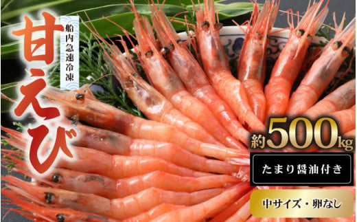 新鮮美味！甘エビ（船凍甘エビ 中サイズ）約500g おいしいたまり醤油付【 えび エビ 海老 甘えび 海鮮 お造り 刺身 おせち 海鮮丼 生食 急速冷凍 福井 】[m21-a038]