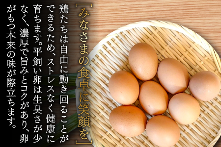 A-791 大久保さんちの元気たまご 平飼い 40個