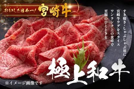 宮崎牛 赤身 スライス 約500g×1P［ウデまたはモモをお届け］すき焼き しゃぶしゃぶ 冷凍｜国産 牛肉 4等級以上 黒毛和牛 肉 お肉 ブランド牛 高級 株式会社ミヤチク 宮崎県 諸塚村 MY-0