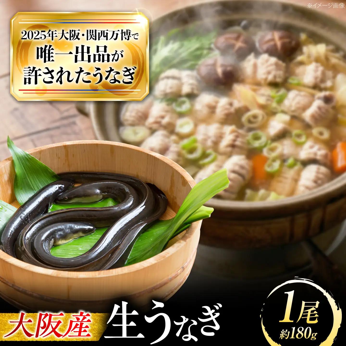 鰻 美陵鰻の生鰻 1尾 BLAL059