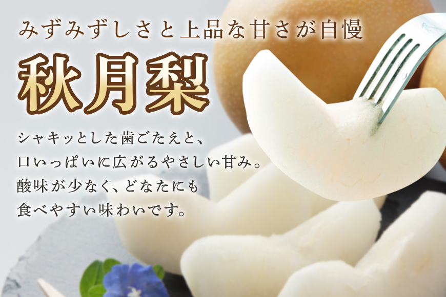 【数量限定・先行予約】 梨 秋月 3kg 2L～5L 6～9玉 なし ナシ あきづき アキヅキ 果物 フルーツ 国産 【9月15日以降末発送予定】 70-C