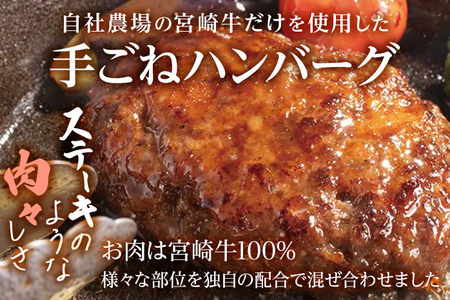 九州産黒毛和牛100％ 手ごねハンバーグ&ビーフカレー 計4個セット 自家製ハンバーグソース付き 惣菜 晩御飯 晩ご飯 晩飯 夕飯 夜ご飯 夜食 たれ 煮込み ビーフ 宮崎牛