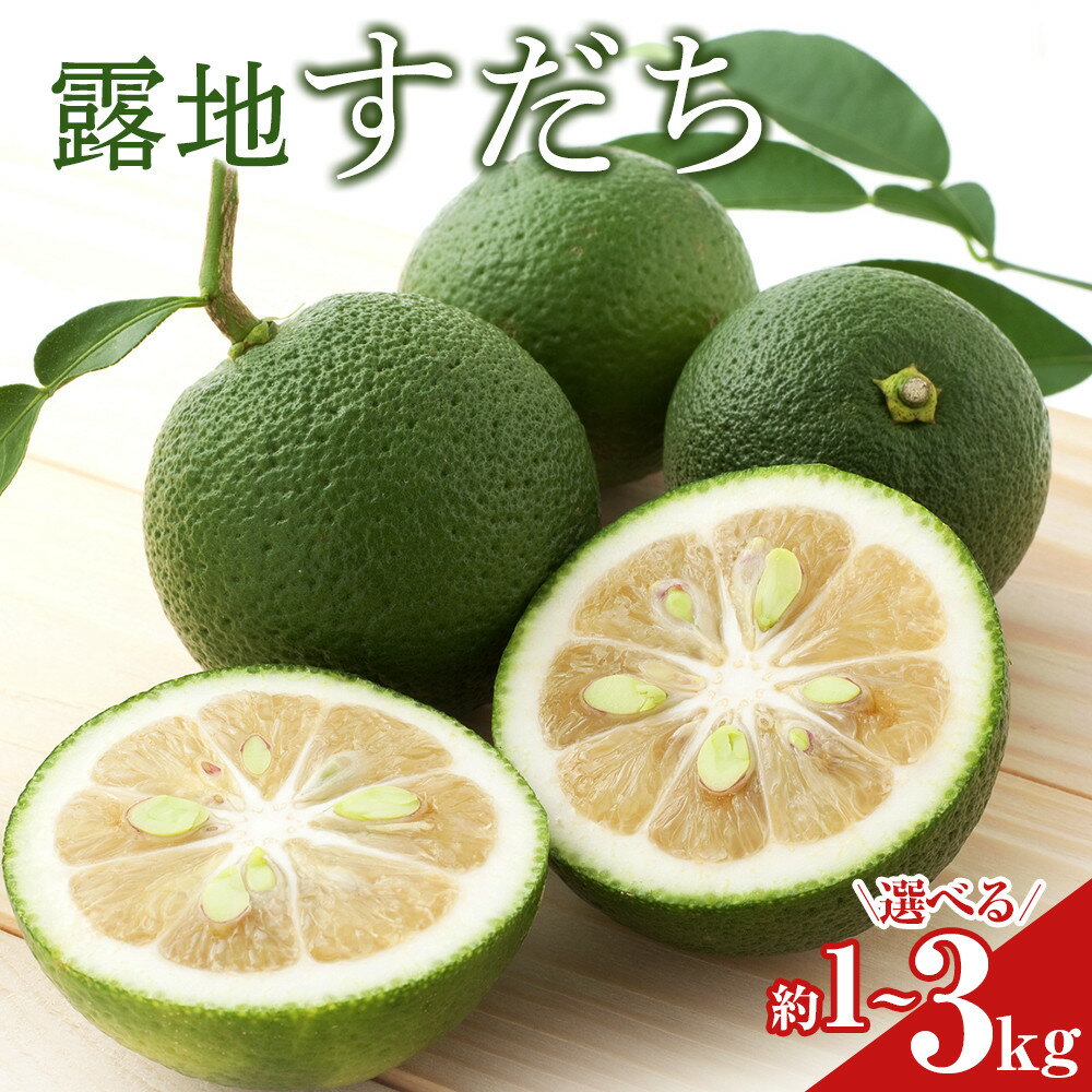 【ふるさと納税】露地すだち 約1kg～3kg 選べる内容量