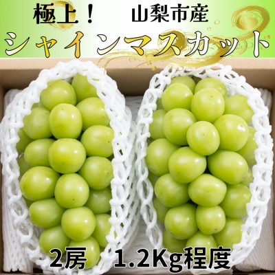 【2026年発送 先行受付】極上!農福連携シャインマスカット2房(2房1.2kg程度)【配送不可地域：離島】