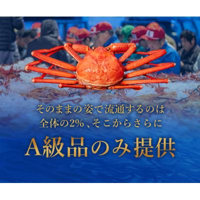 ふるさと納税 米子市 【蟹セレブ】境港産 紅ズワイガニ 中2杯セット(400g〜500g×2) ボイル済 【冷蔵で発送】 |  | 02