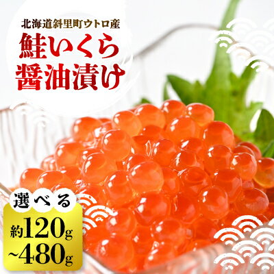 【ふるさと納税】【新物】鮭いくら醤油漬け(120g/240g/480g)【配送不可地域：離島・沖縄県】【G1546302】