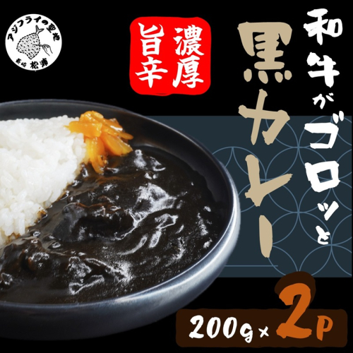 和牛がゴロッと黒カレー 200g×2P ( カレー 和牛 和牛カレー 冷凍 簡単 )【074-0006】