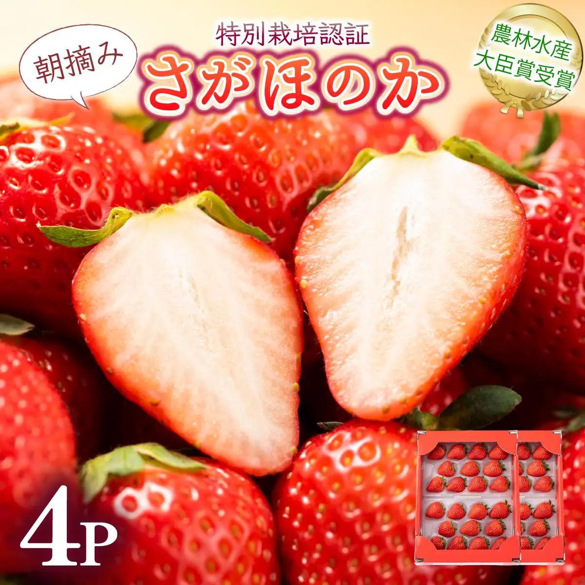 【先行予約】最高級品質”さがほのか” 約1kg（235g×4p）