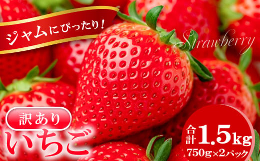 
            ジャムにぴったり　訳あり いちご（750g×2パック）【いちご 訳あり 甘い わけあり 果物 フルーツ 苺 イチゴ ストロベリー あまい 不揃い 1.5kg 冷蔵 期間限定 季節限定】
          