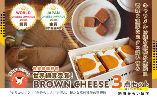 
            【ナカシマファーム】世界銅賞受賞！BROWN CHEESE 3点セット
          
